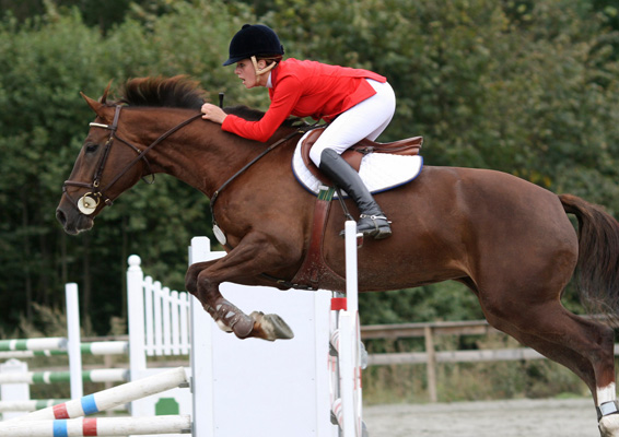 active-equestrian