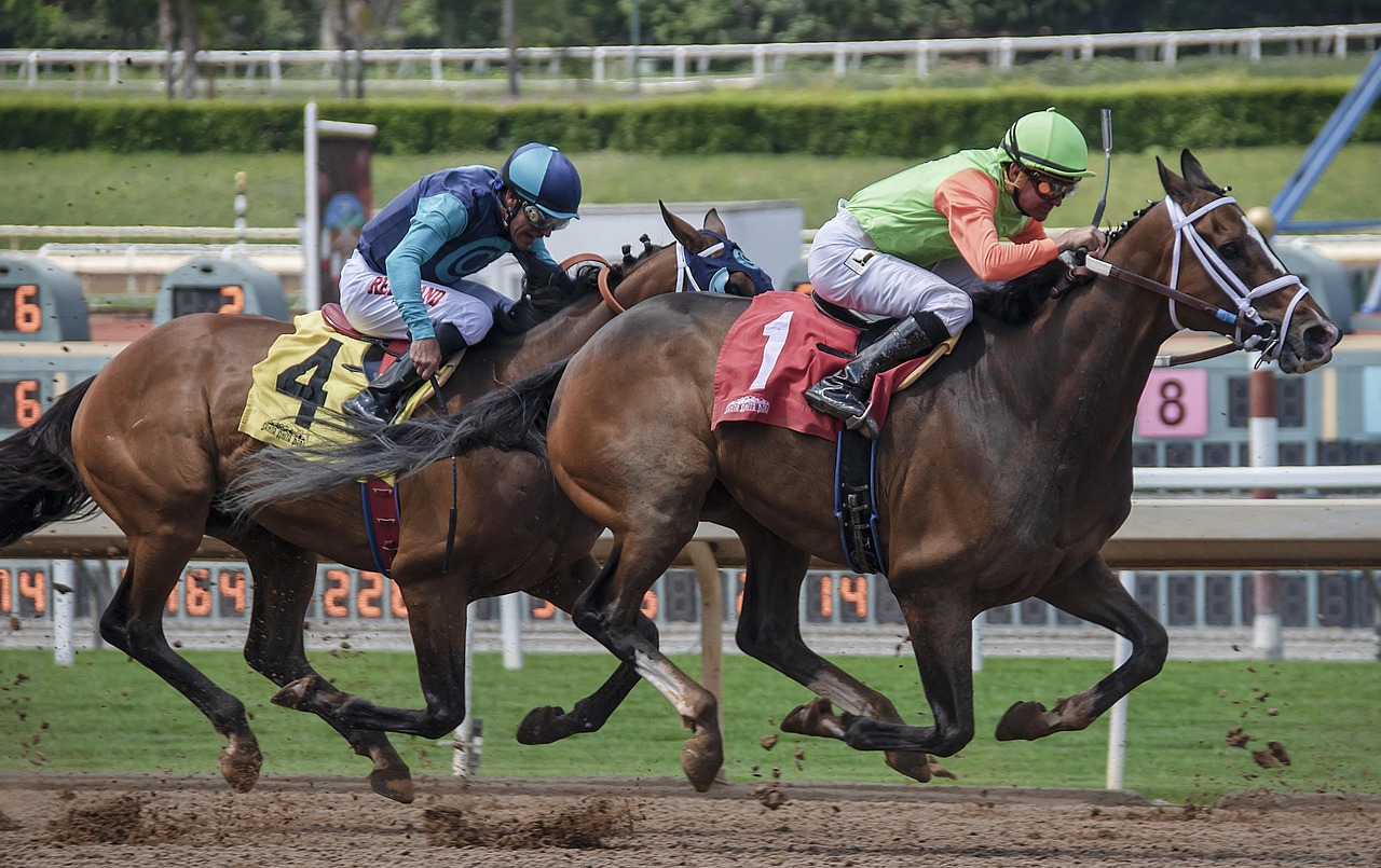 horse-3433862_1280